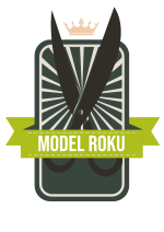 Model roku 2017